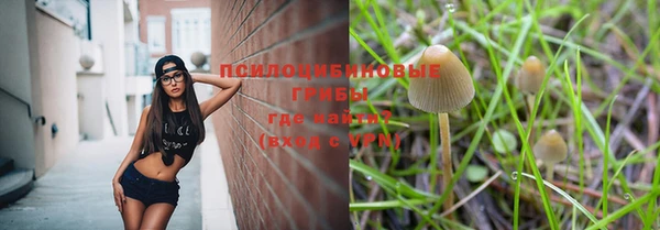 индика Богданович