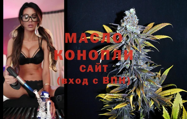 индика Богданович
