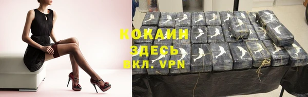 индика Богданович