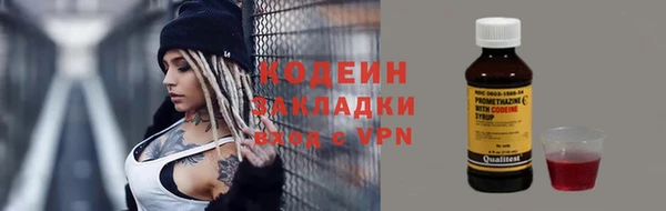 индика Богданович