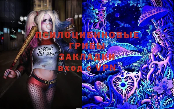 индика Богданович