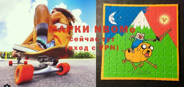 индика Богданович