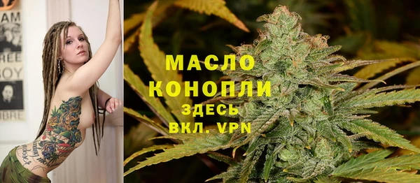 индика Богданович