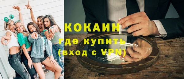 индика Богданович