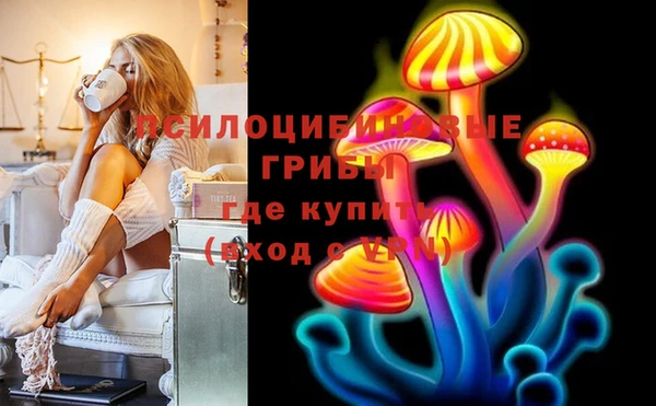 первитин Богородицк