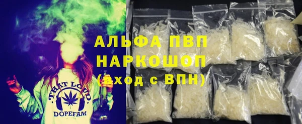 индика Богданович