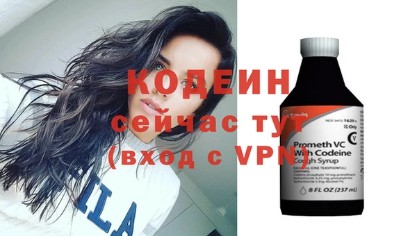 индика Богданович