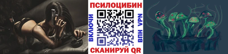 Псилоцибиновые грибы Psilocybe Тогучин